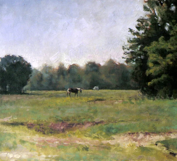 landscape1.JPG
