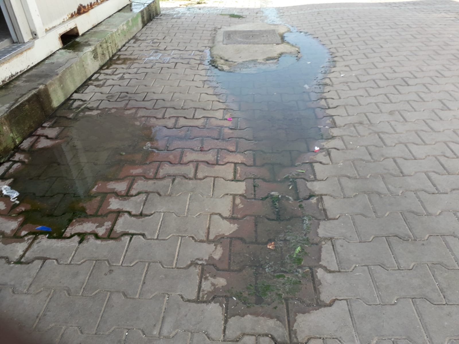   Dirty water from toilets and sinks overrun the sidewalk adjacent the camp bathrooms. Near Foggia, Italy; July, 2018.   © Pamela Kerpius  