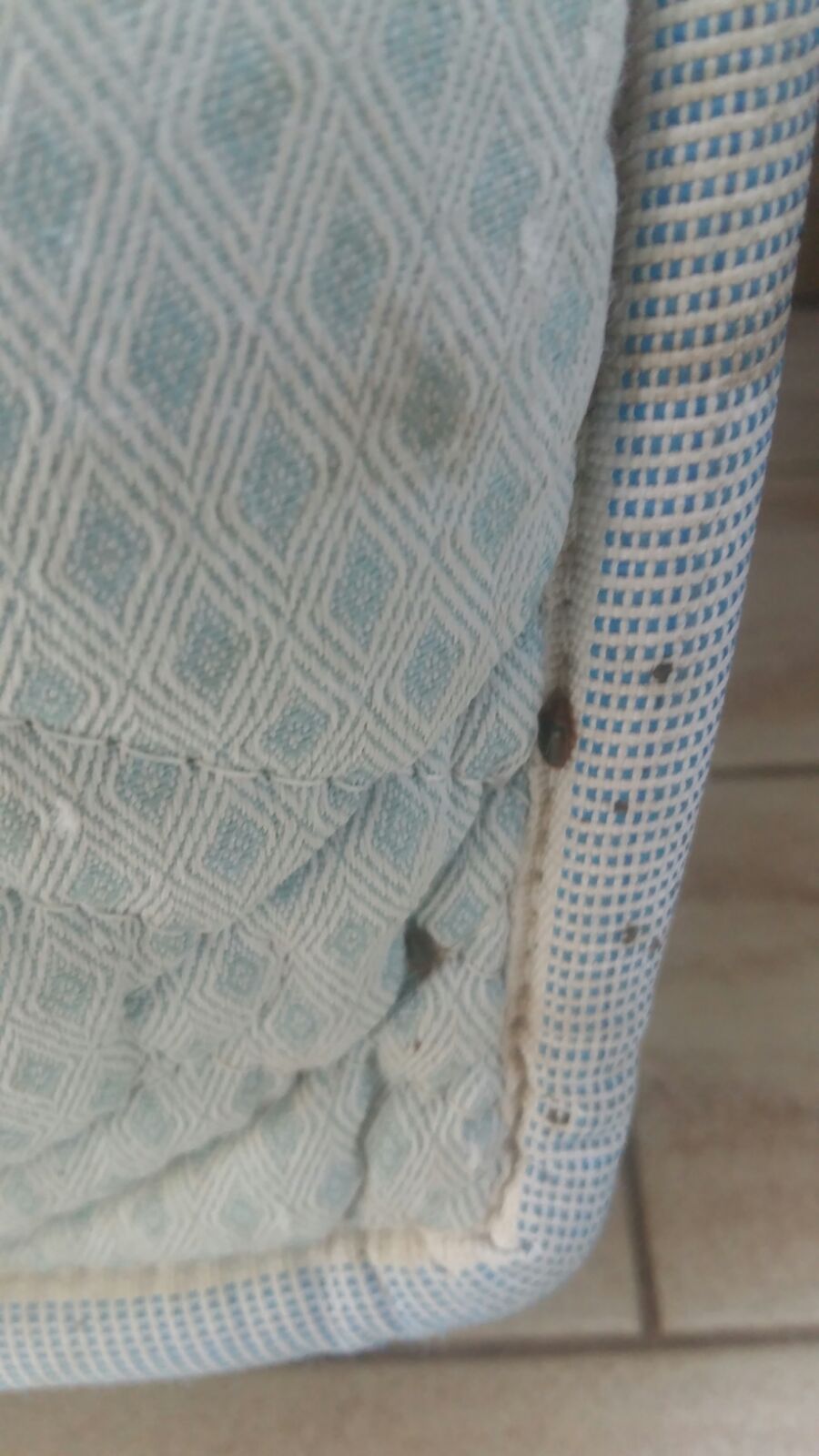 Bed bugs infest a housing camp mattress; Rome, Italy. June, 2018. © Pamela Kerpius