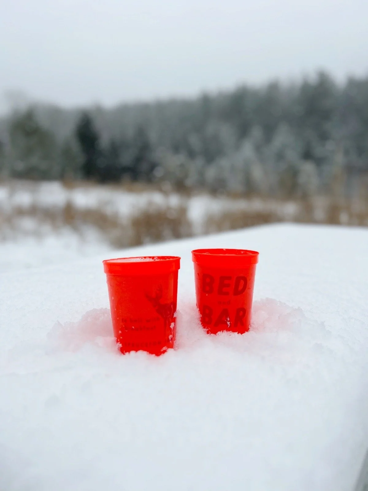 Bed and Bar cups.JPG