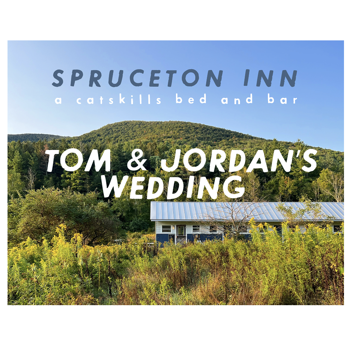 Tom & Jordan's wedding.png