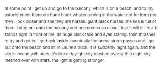 DREAM OF HORSES