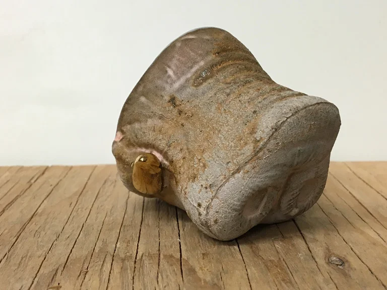 TommyFrank-Tour_de_Clay-snout_sipper_gold_on_stone (web).jpg