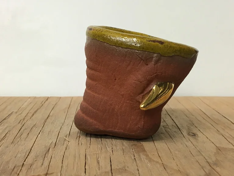 TommyFrank-Tour_de_Clay-snout_sipper_mustard_on_red_brown (web).jpg