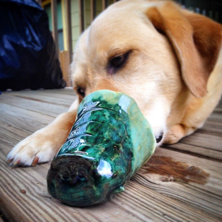 Snout sipper D-ray.PNG