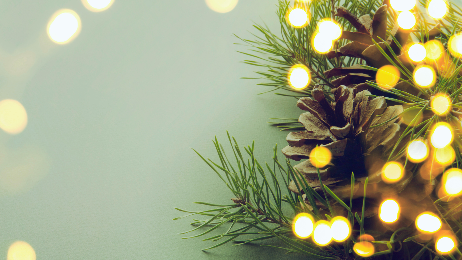 Article - Grace in the Busy Season