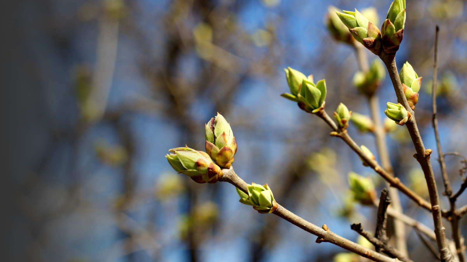 Article - Words in Due Season