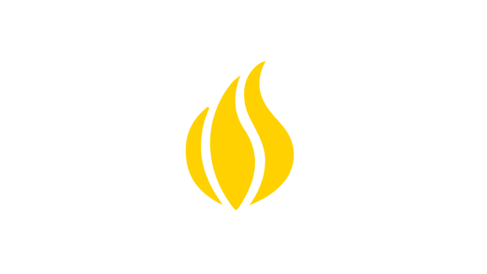 Head of Operations