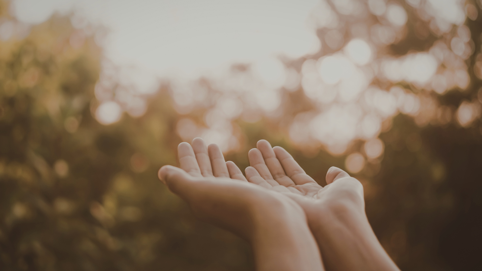 Article - Faithful but Limited