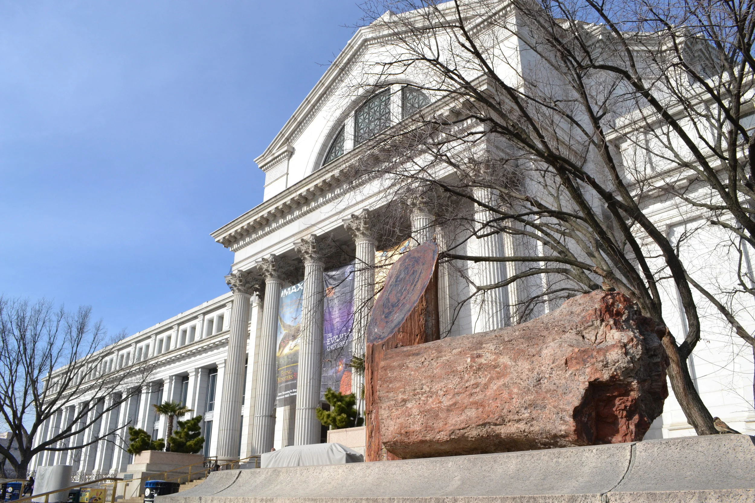  National Museum of Natural History 
