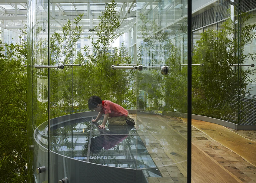  Crown Sky Garden 