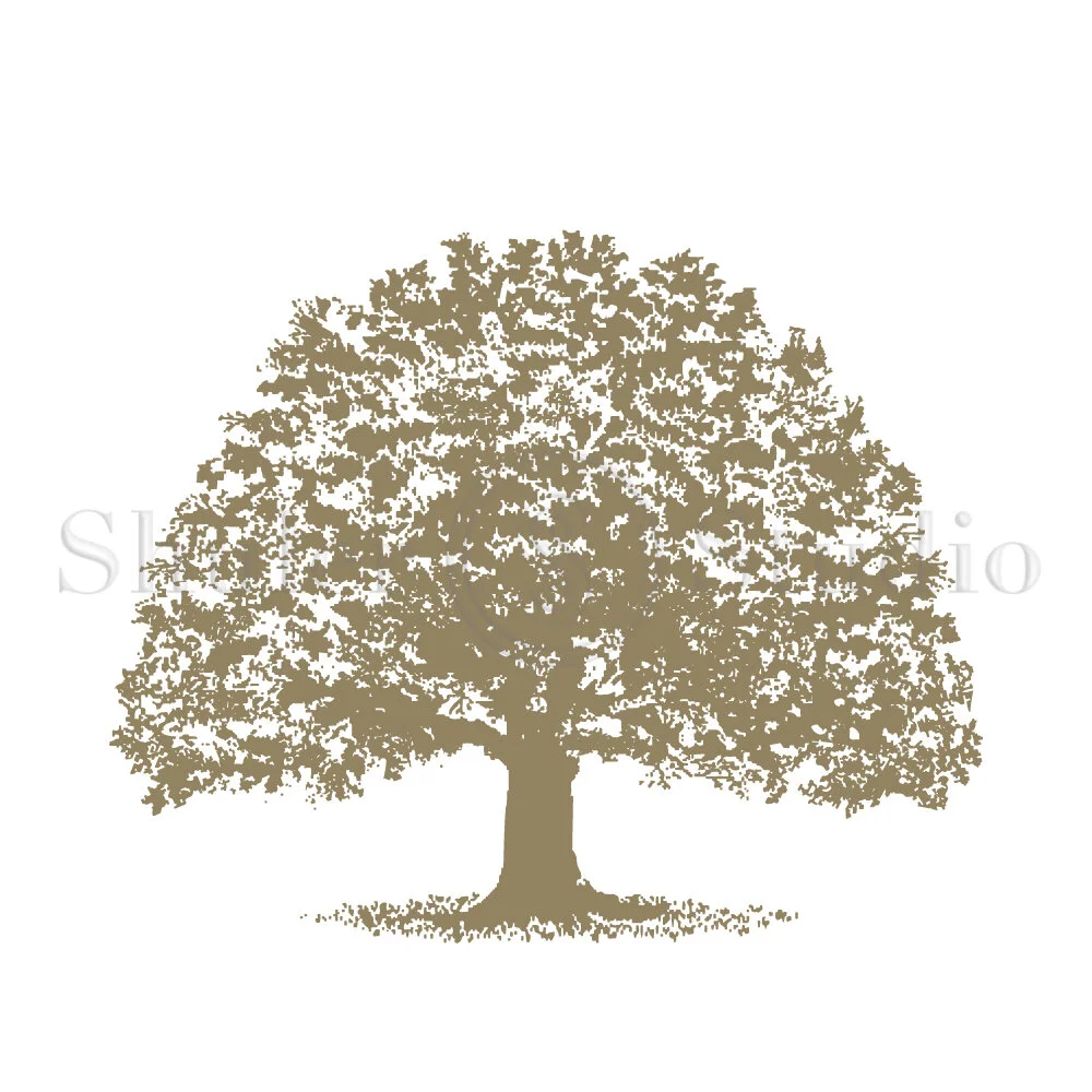 Augusta-Oak-watermark.jpg