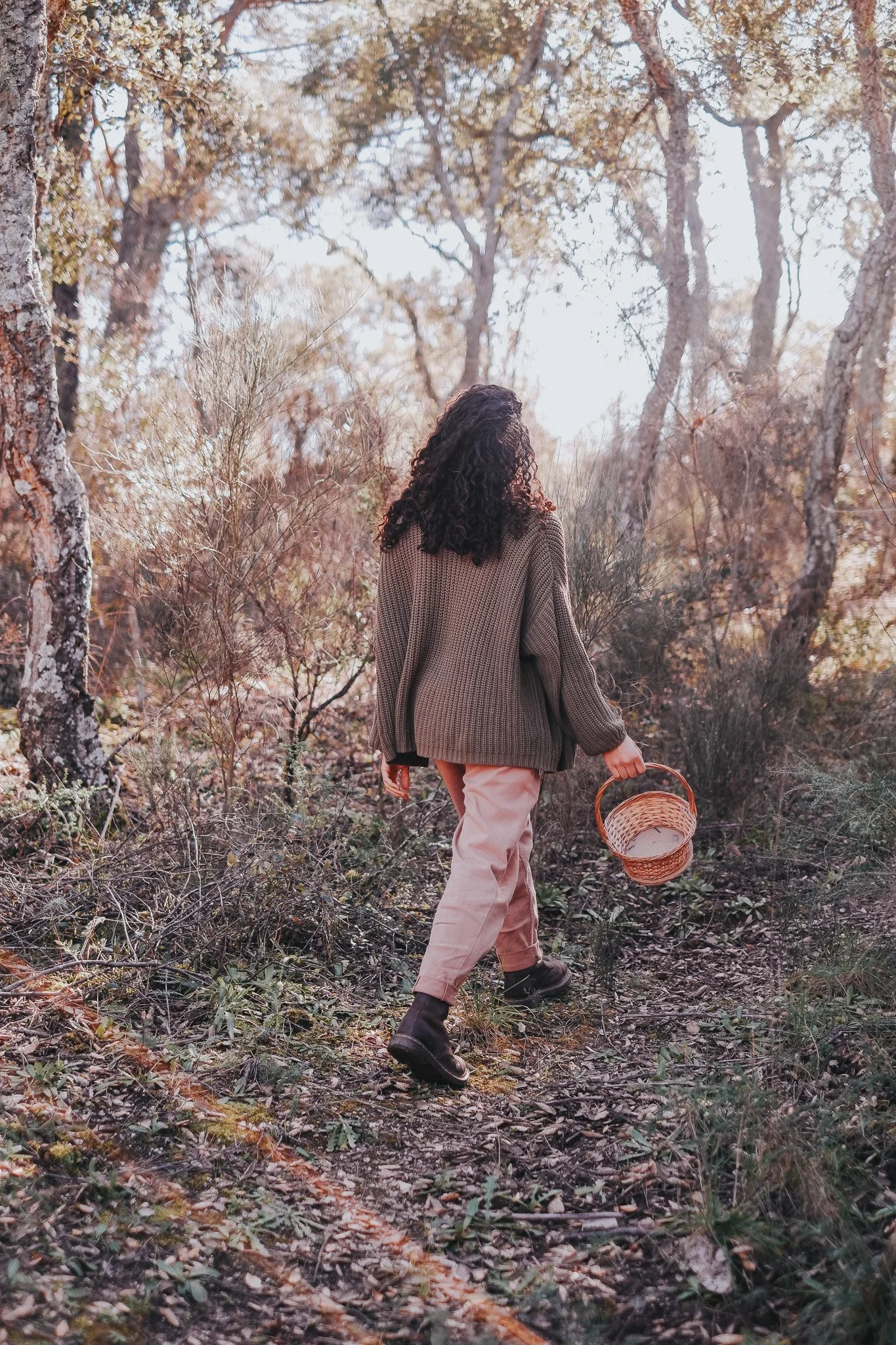 an imbolc tincture — OLIVE TREES + MOON