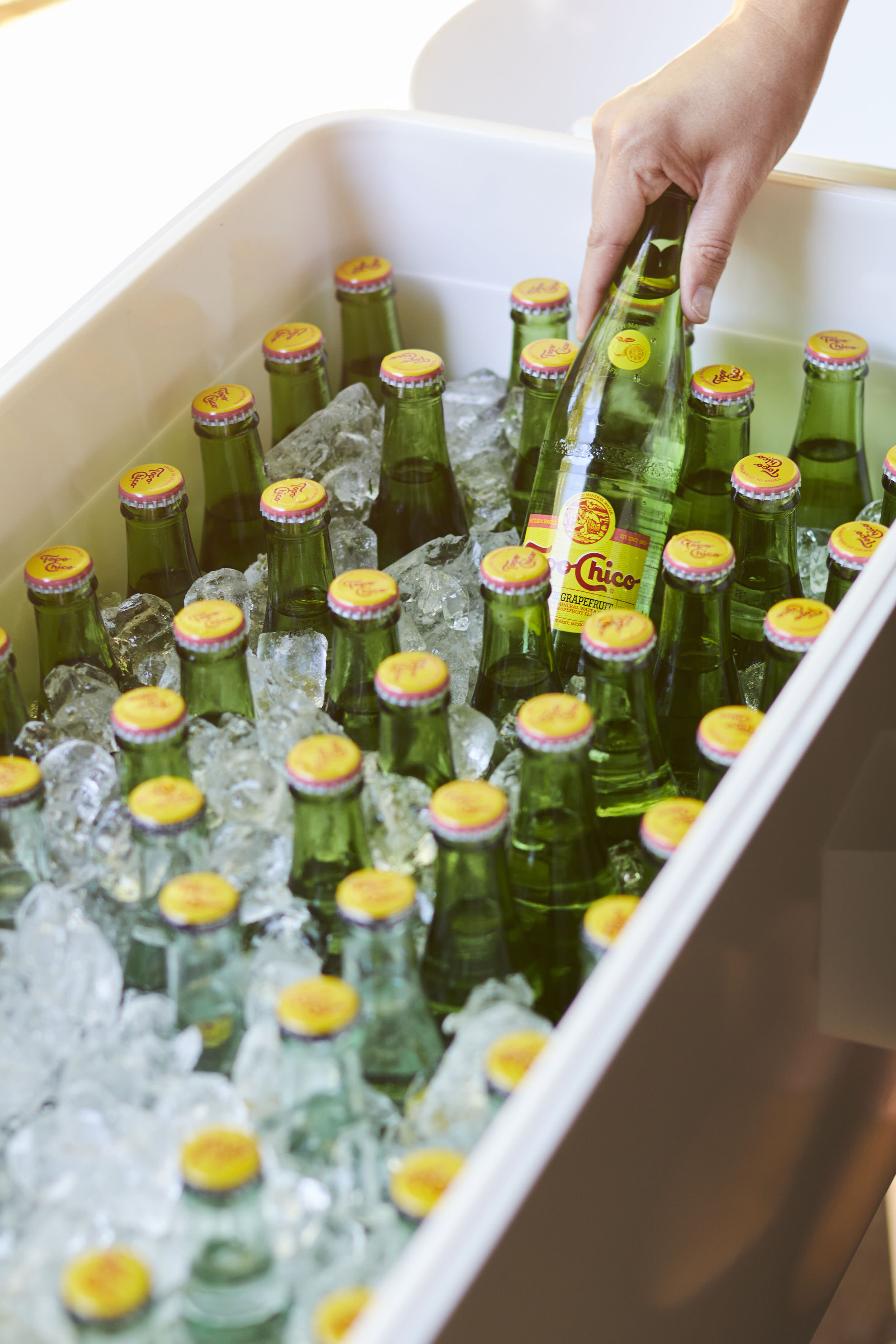  photographed for  Emily Henderson Design  in partnership with  Topo Chico . 