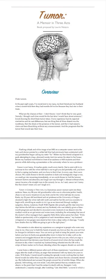 Designed Book Proposal delivered in a PDF file. 