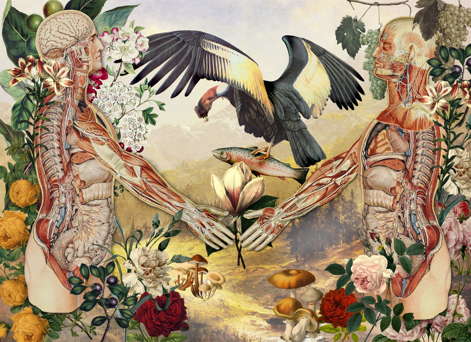 Artwork By: Juan Gatti