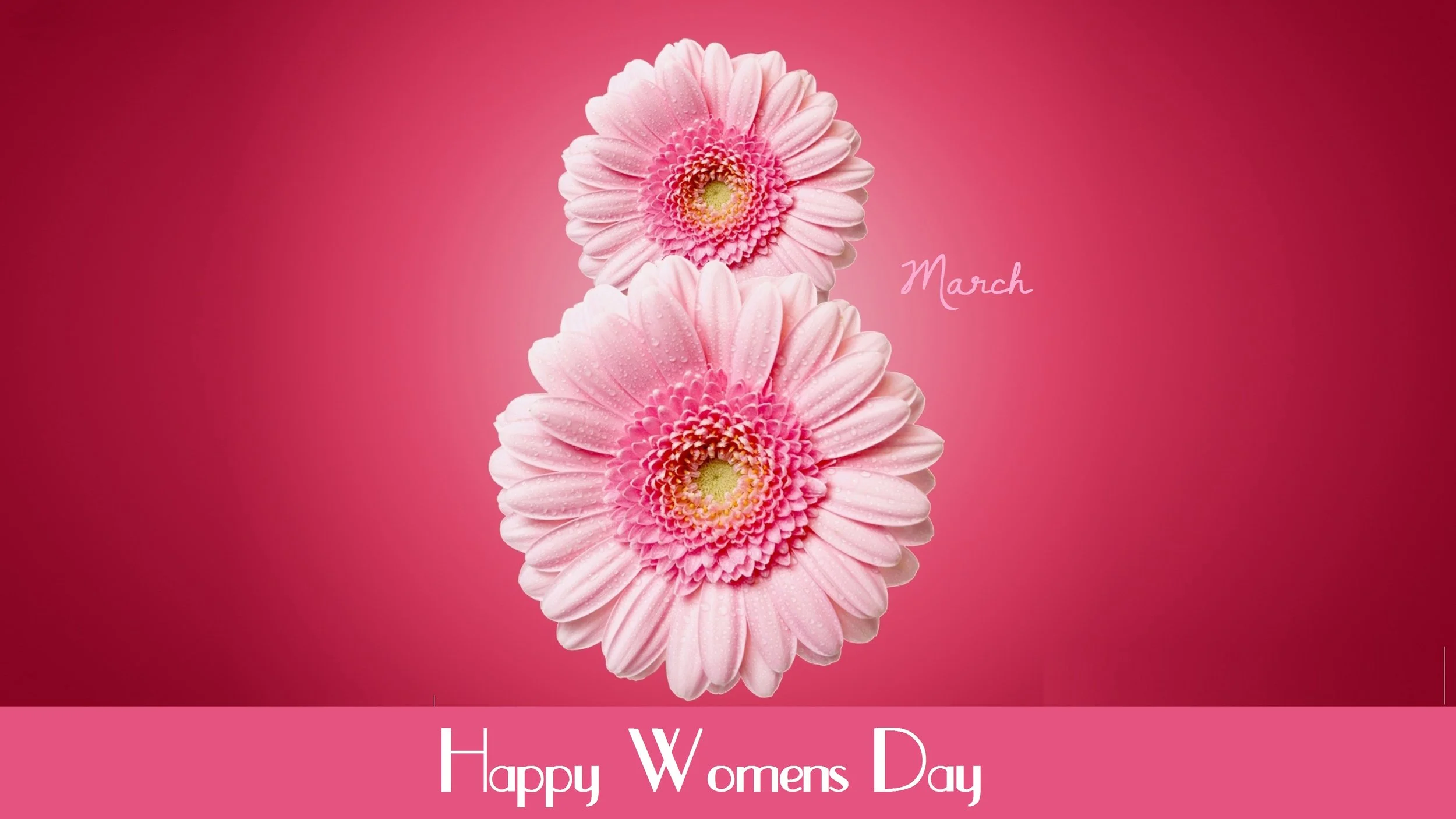 Happy Women’s Day 