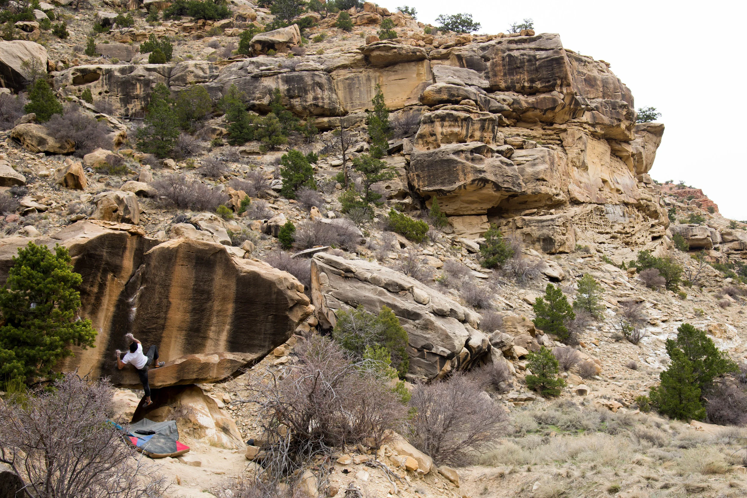 _DSC3560.jpg