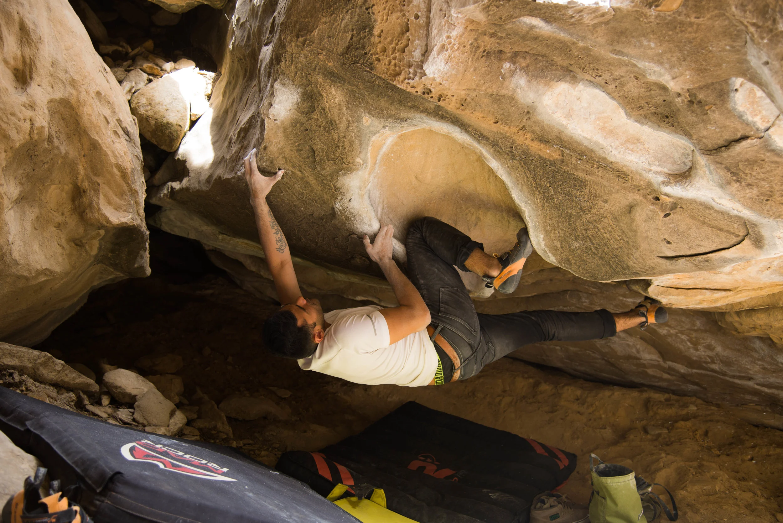 _DSC3619.jpg