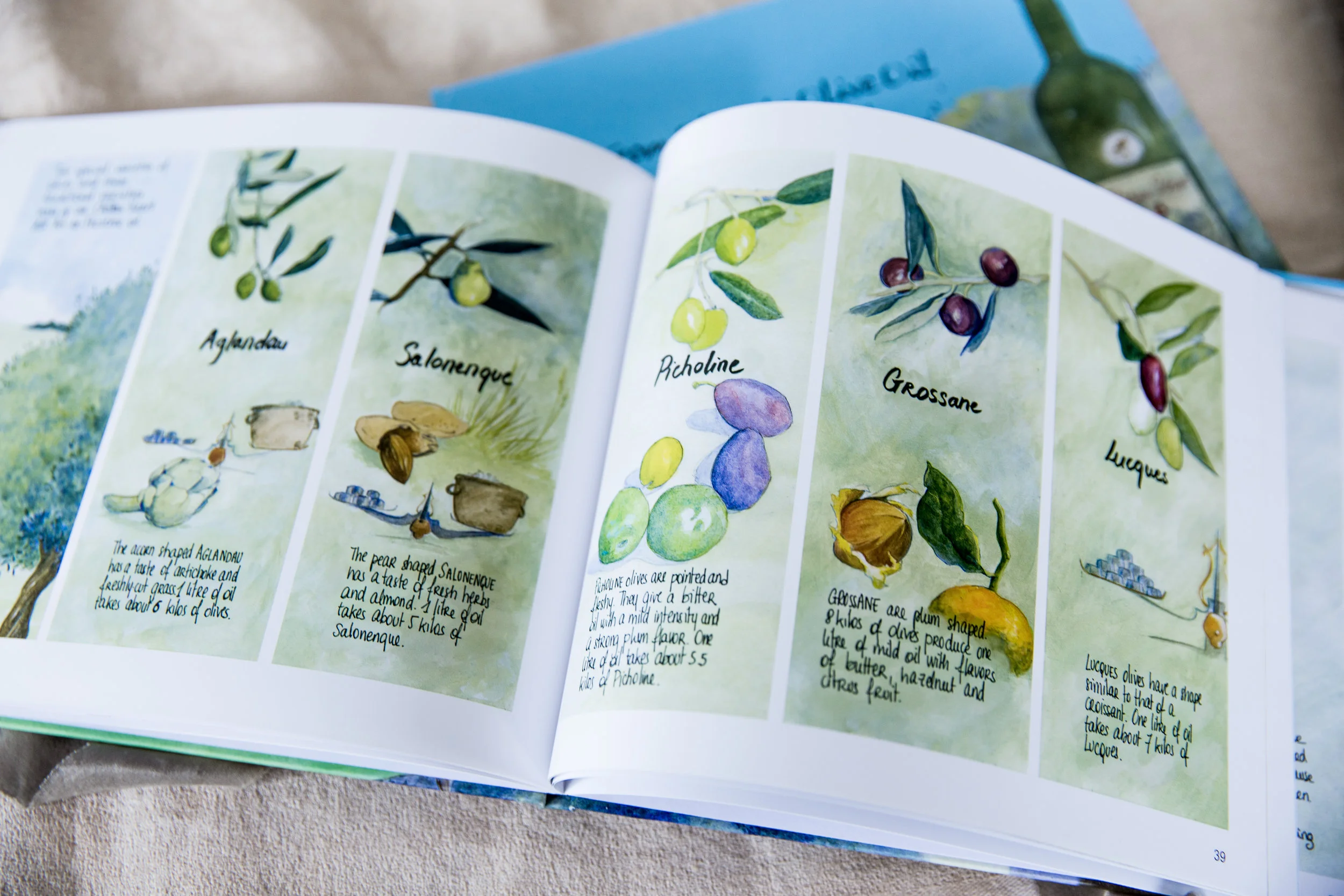 Olive Oil Book English