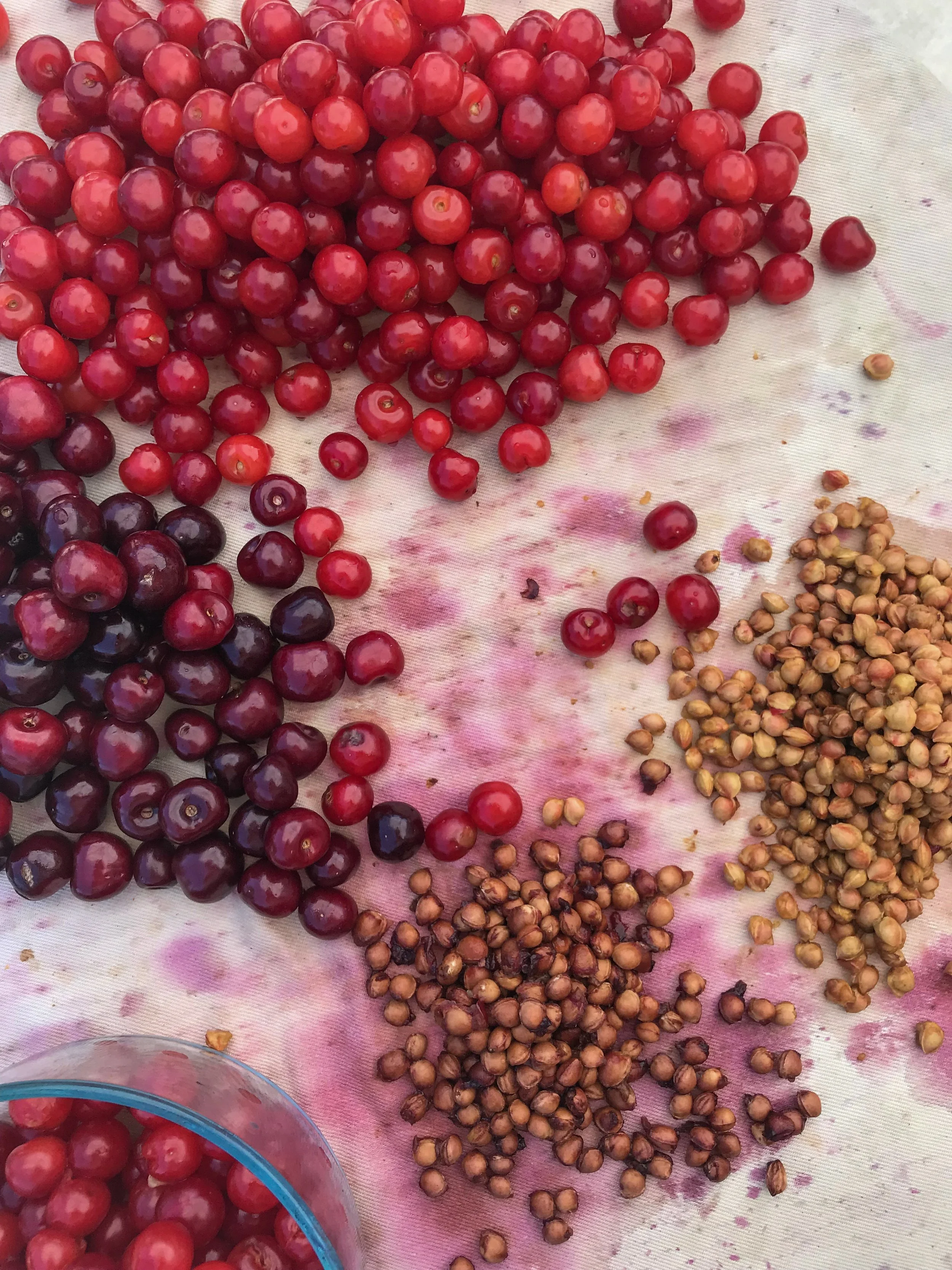 Summer’s Sweetness in a Jar