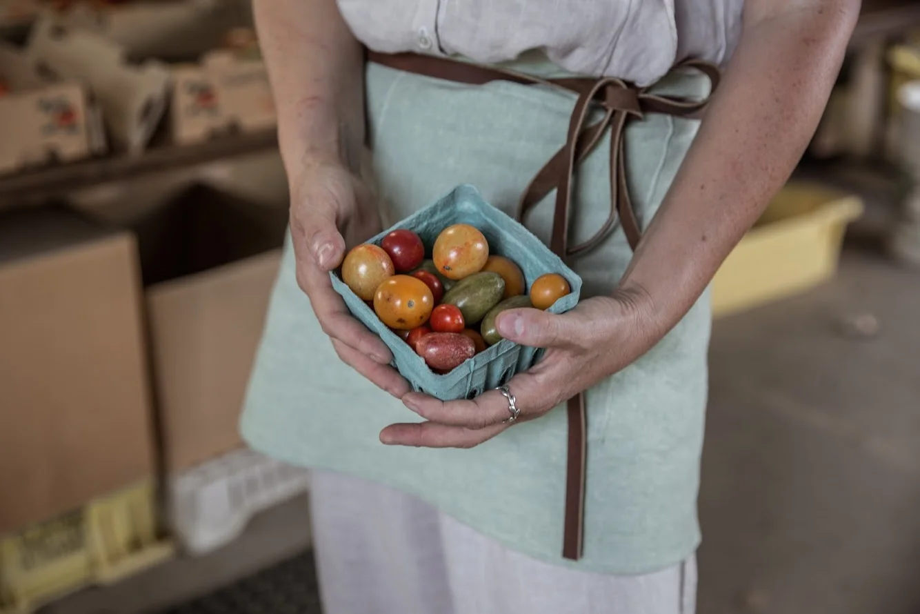 Make Your Own French Tomato Powder