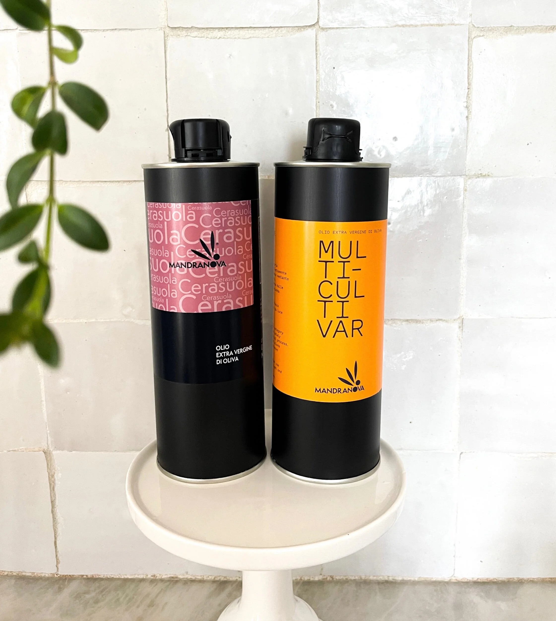 99C23DEB-85CD-4066-B203-D11635D9068B