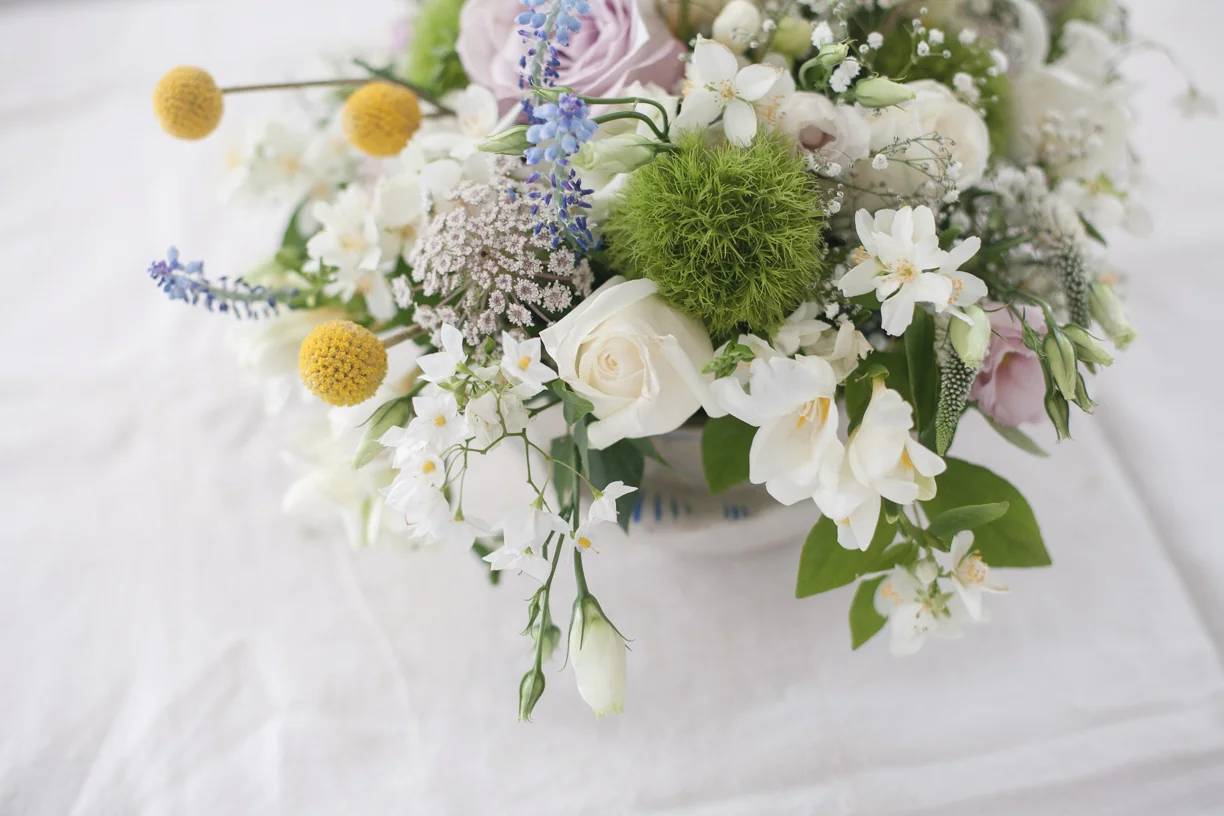 Flores R+J-9770.jpg