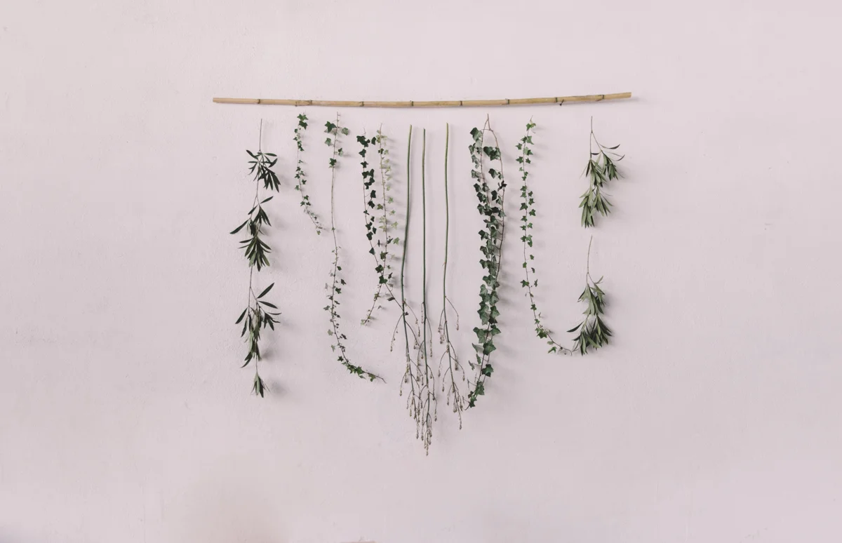 ADORO R+P-3-2888_Skin_1200p.jpg