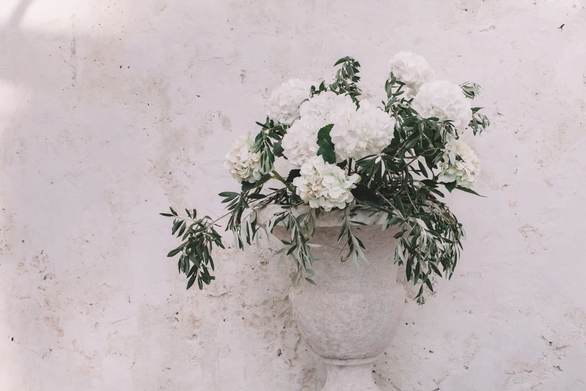 V+N v2017-0439_1200p.jpg