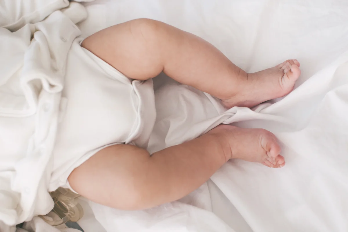 ADORO BatFr-5461_1200px.jpg