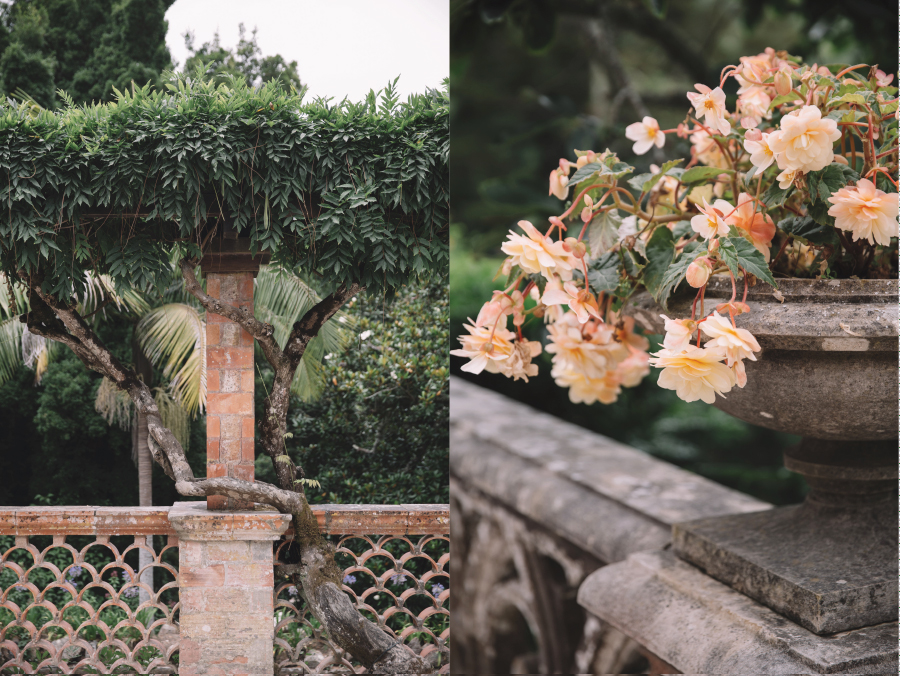 ADORO Casamento V+G-4.jpg