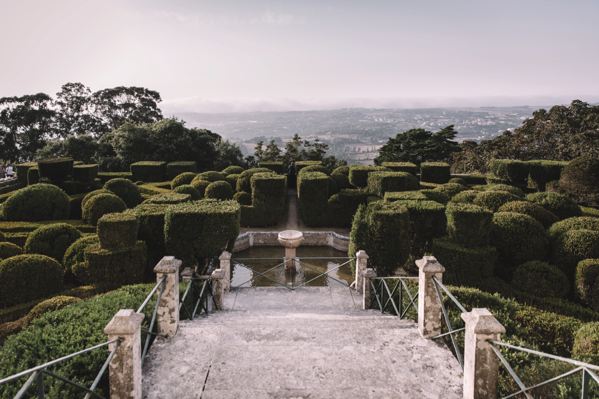 ADORO C+J Wedding-21.png