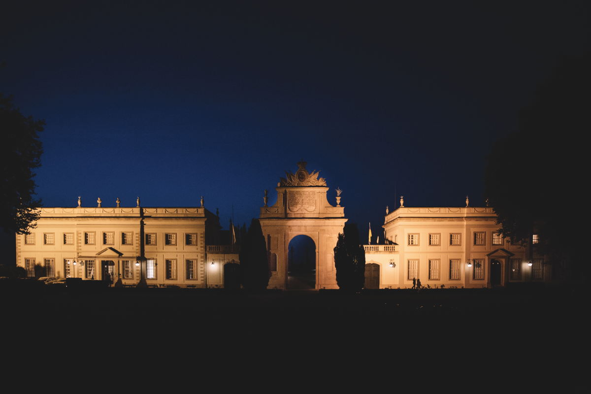 ADORO C+J Wedding-44.png