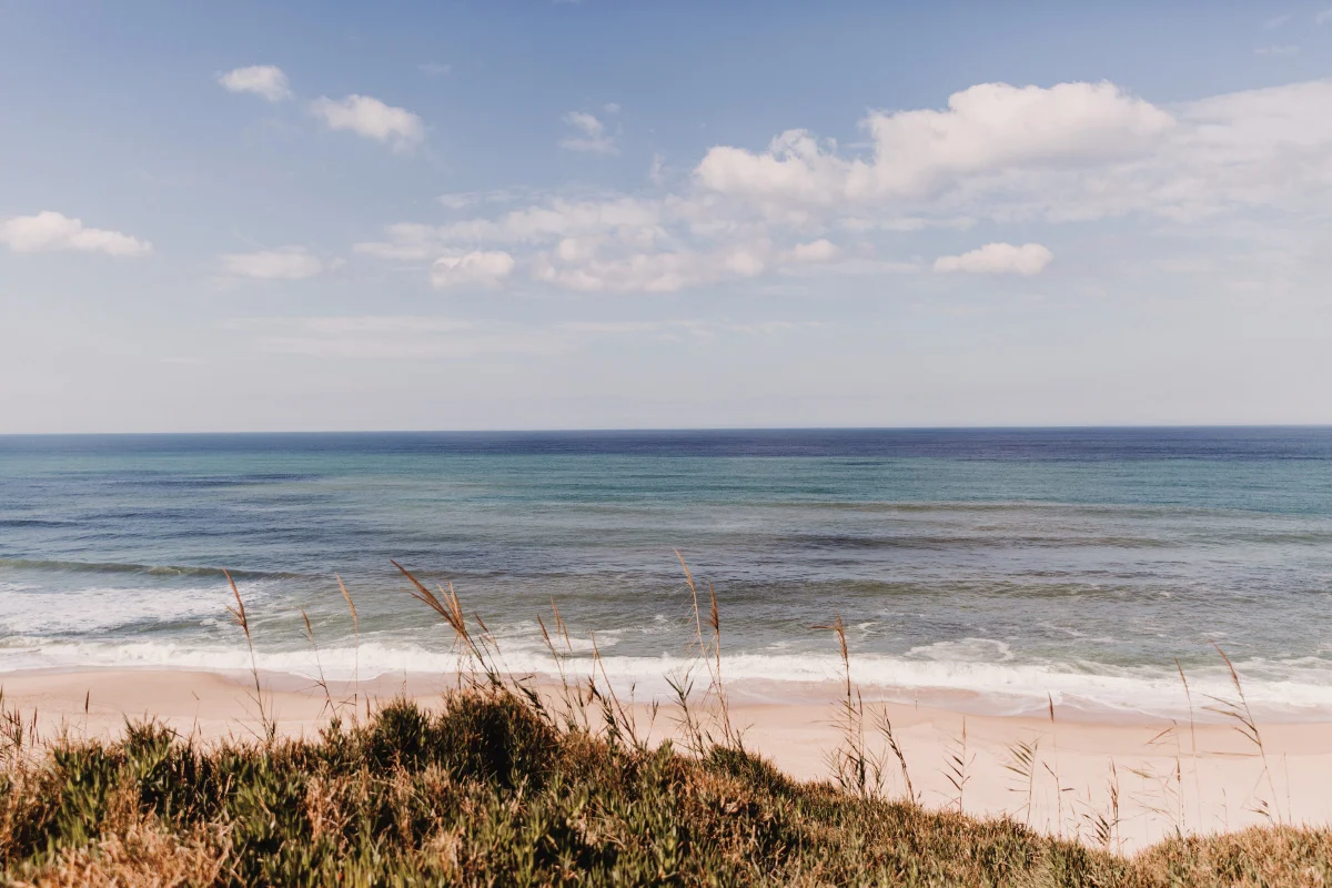 ADORO C+T_Blog-05.jpg