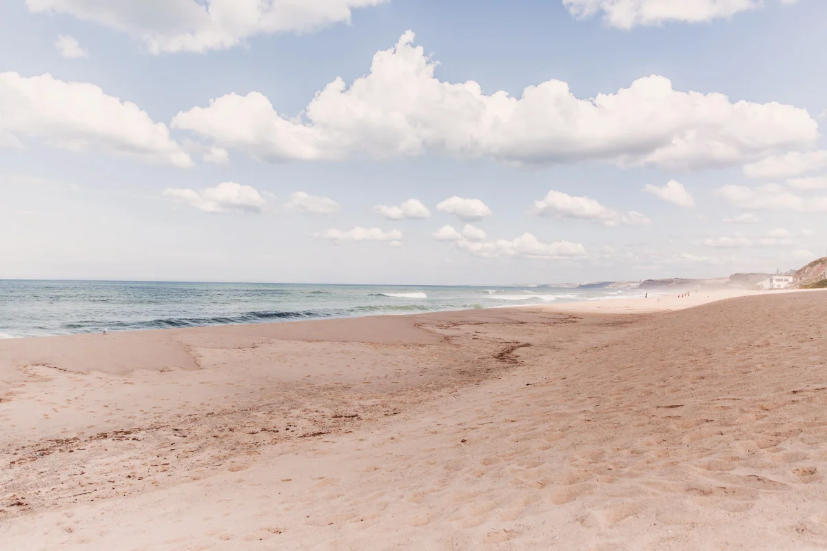 ADORO C+T_Blog-1.jpg