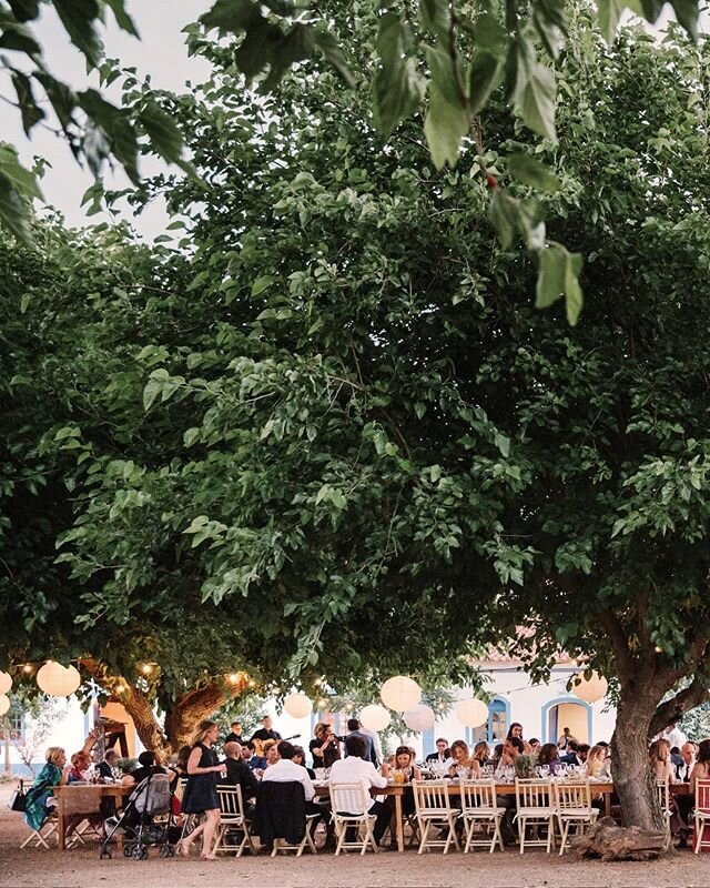 Festejar ao fresco, no Alentejo
Celebrating alfresco, at Alentejo.
.
#weddingday #weddingdecoration #weddingdecor #rusticwedding #countryside #alentejo #alfresco #tablesetup #tablesetting #weddingtable #alentejo #adoro #adorofotografia #fotografiadec