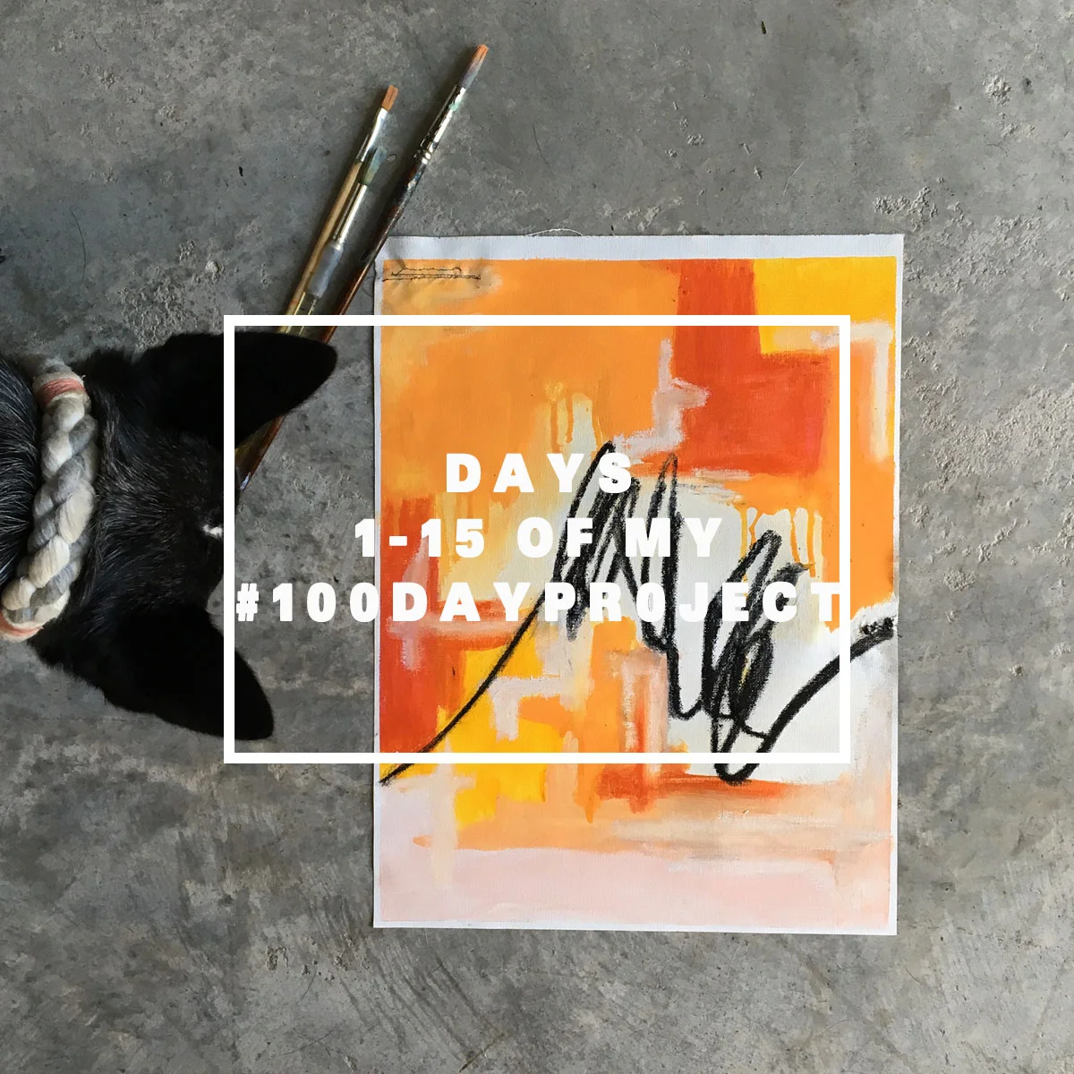 Days 1-15 Of my 100 Day Project 