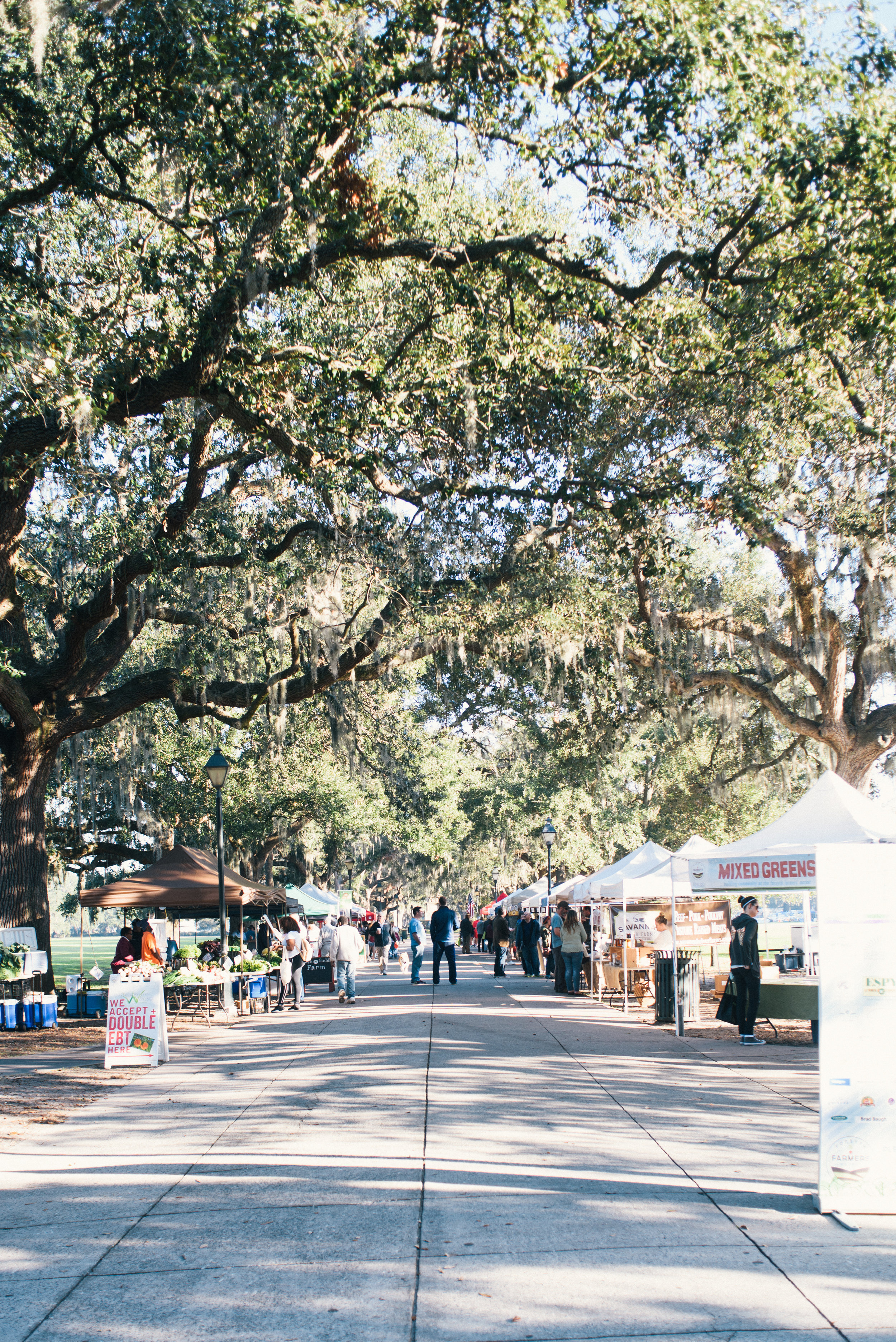 forsyth-farmers-market-savannah-georgia-farmers-markets-in-savannah-georgia-savannah-georgia-forsyth-park-photos