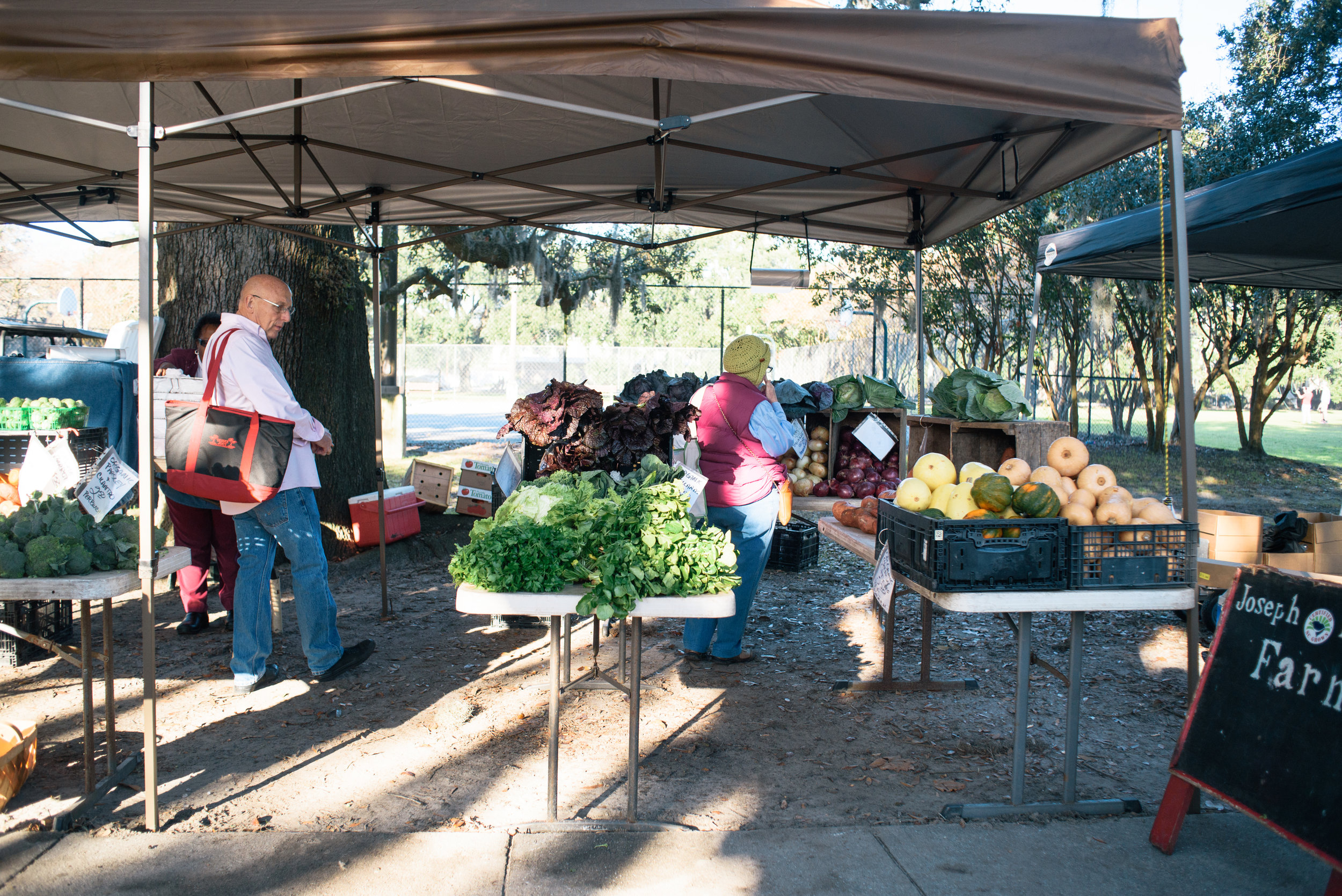 forsyth-farmers-market-savannah-georgia-farmers-markets-in-savannah-georgia-savannah-georgia-forsyth-park-photos