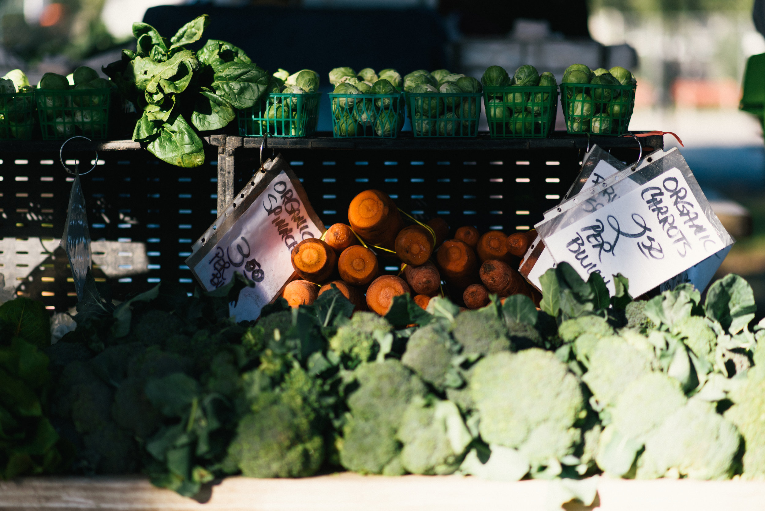 forsyth-farmers-market-january-14-2017-meg-hill-photo- (239 of 270).jpg