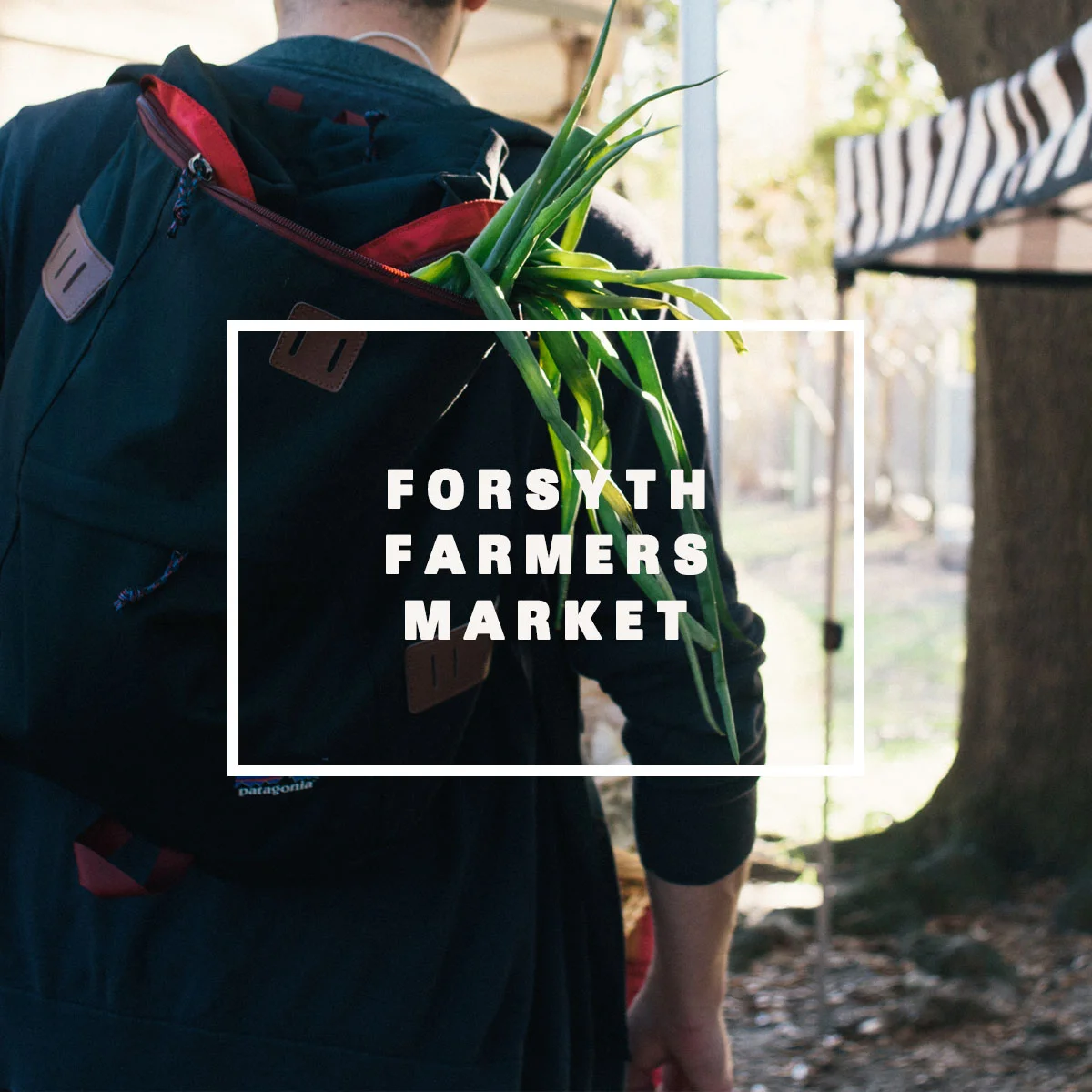 Forsyth Farmers Market In Savannah, Georgia 