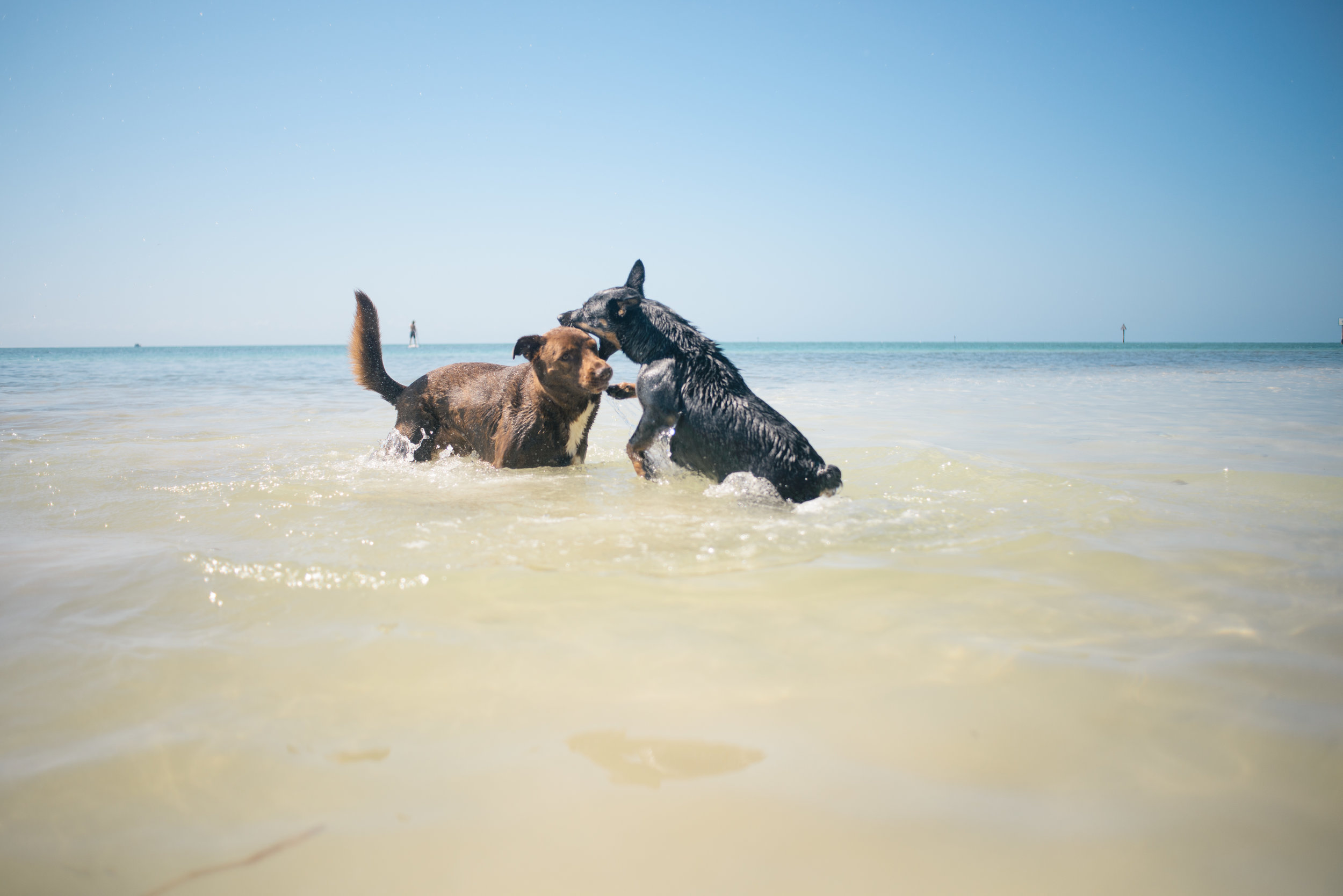 key-largo-vacation-april-2016- (98 of 137).jpg