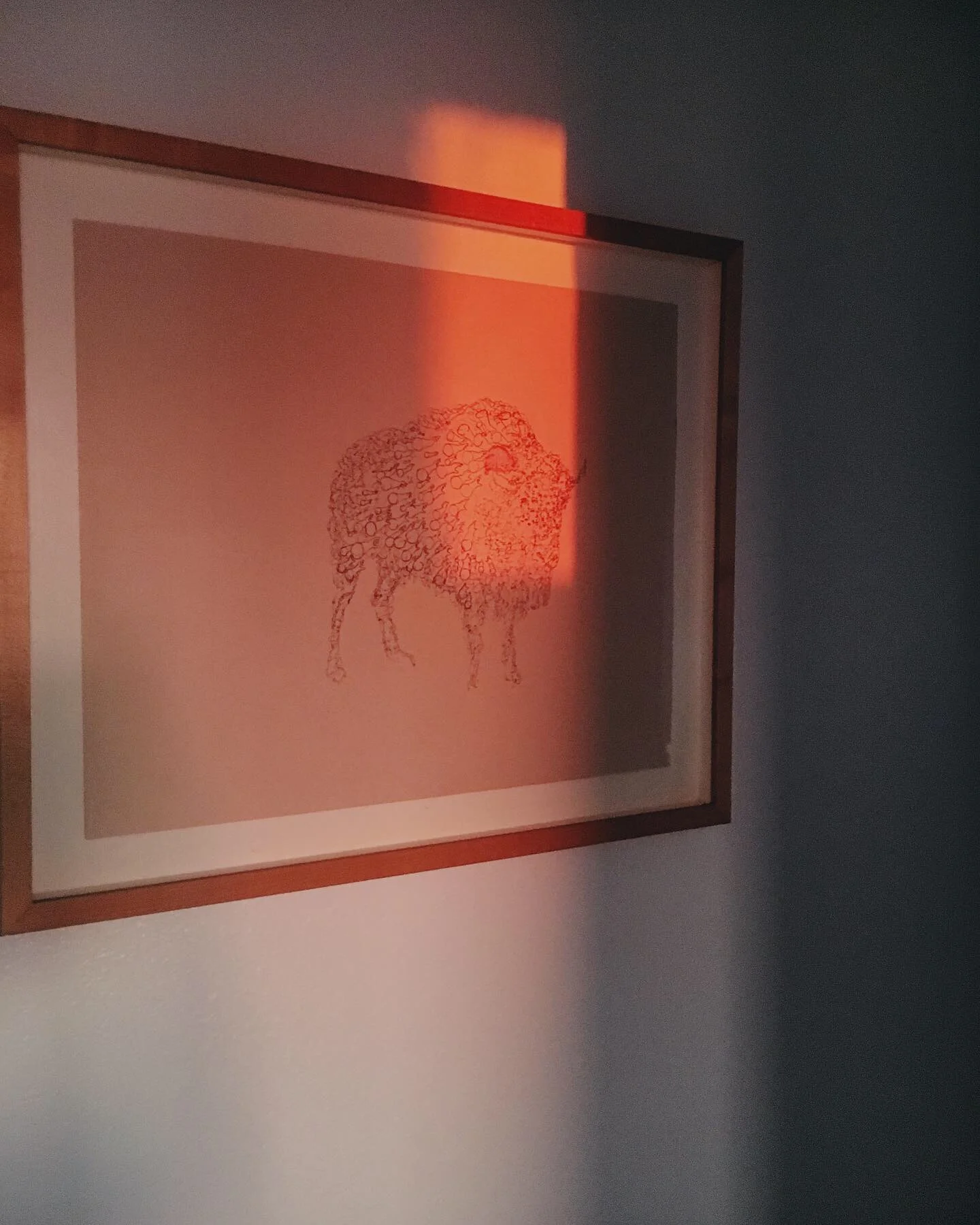 Miracle For Meg Update / Life Update 