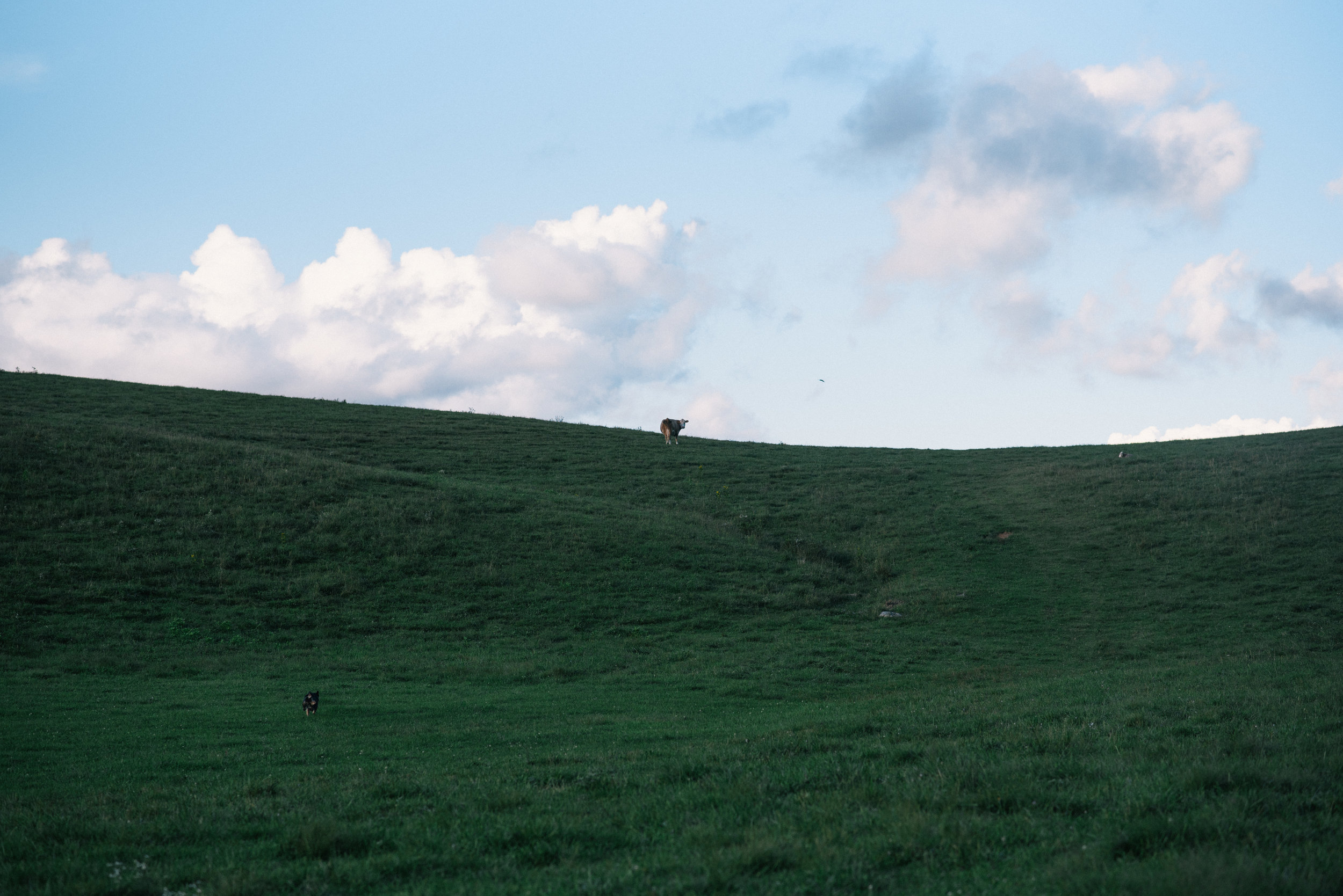 meg-solo-trip-virginia-2018 (7 of 21).jpg