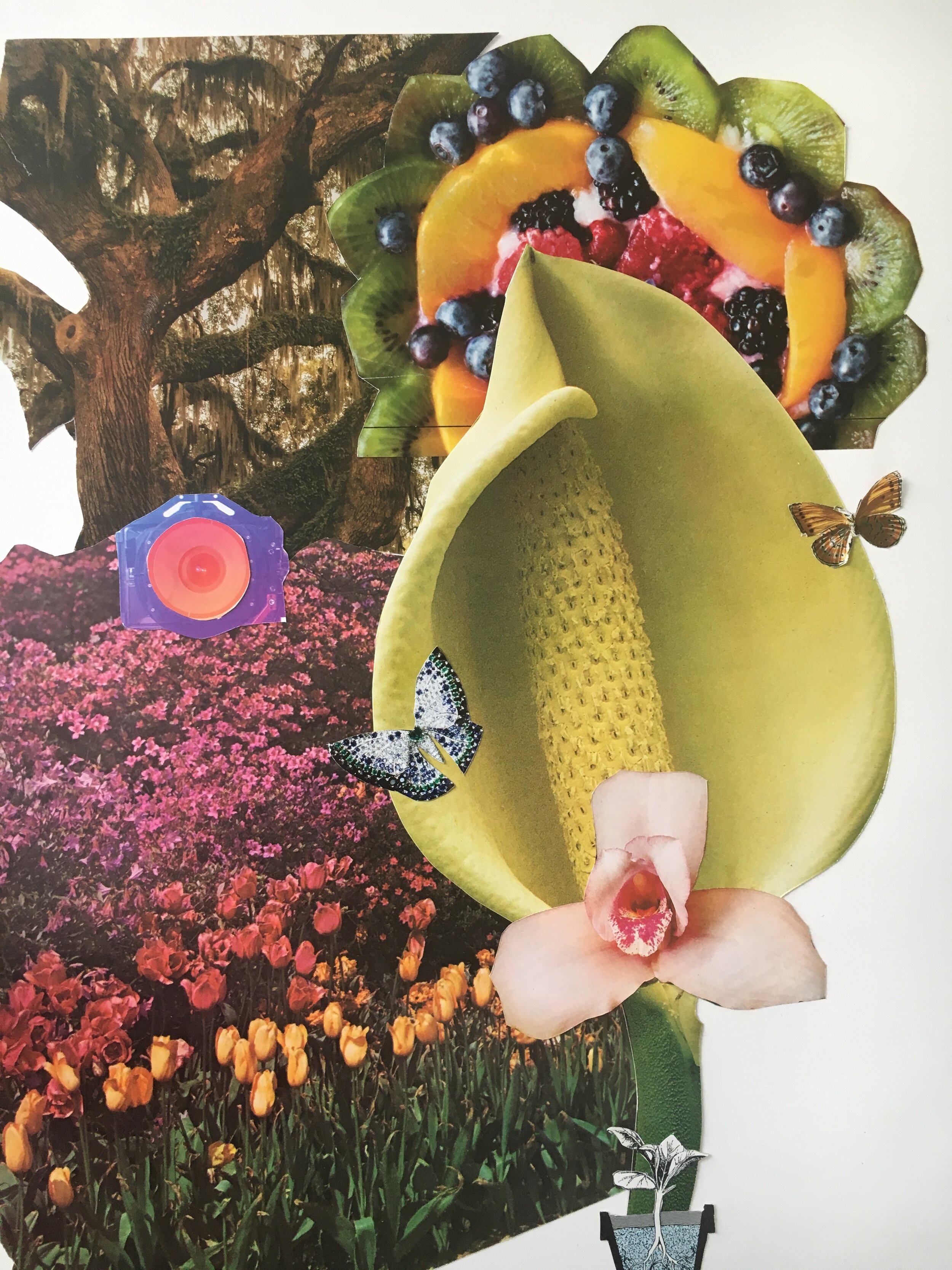 Winter Manifestations 