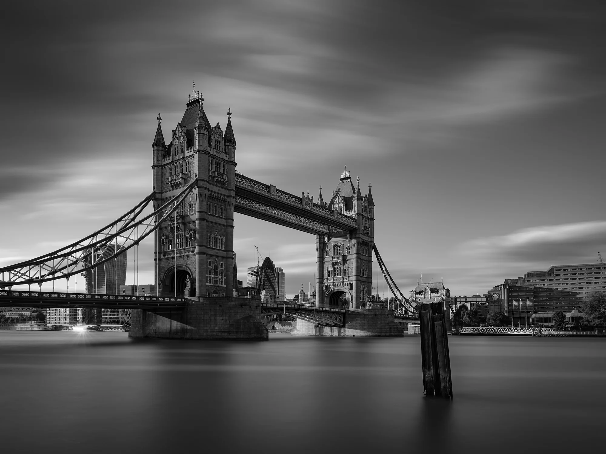 Untitled-8a.jpg