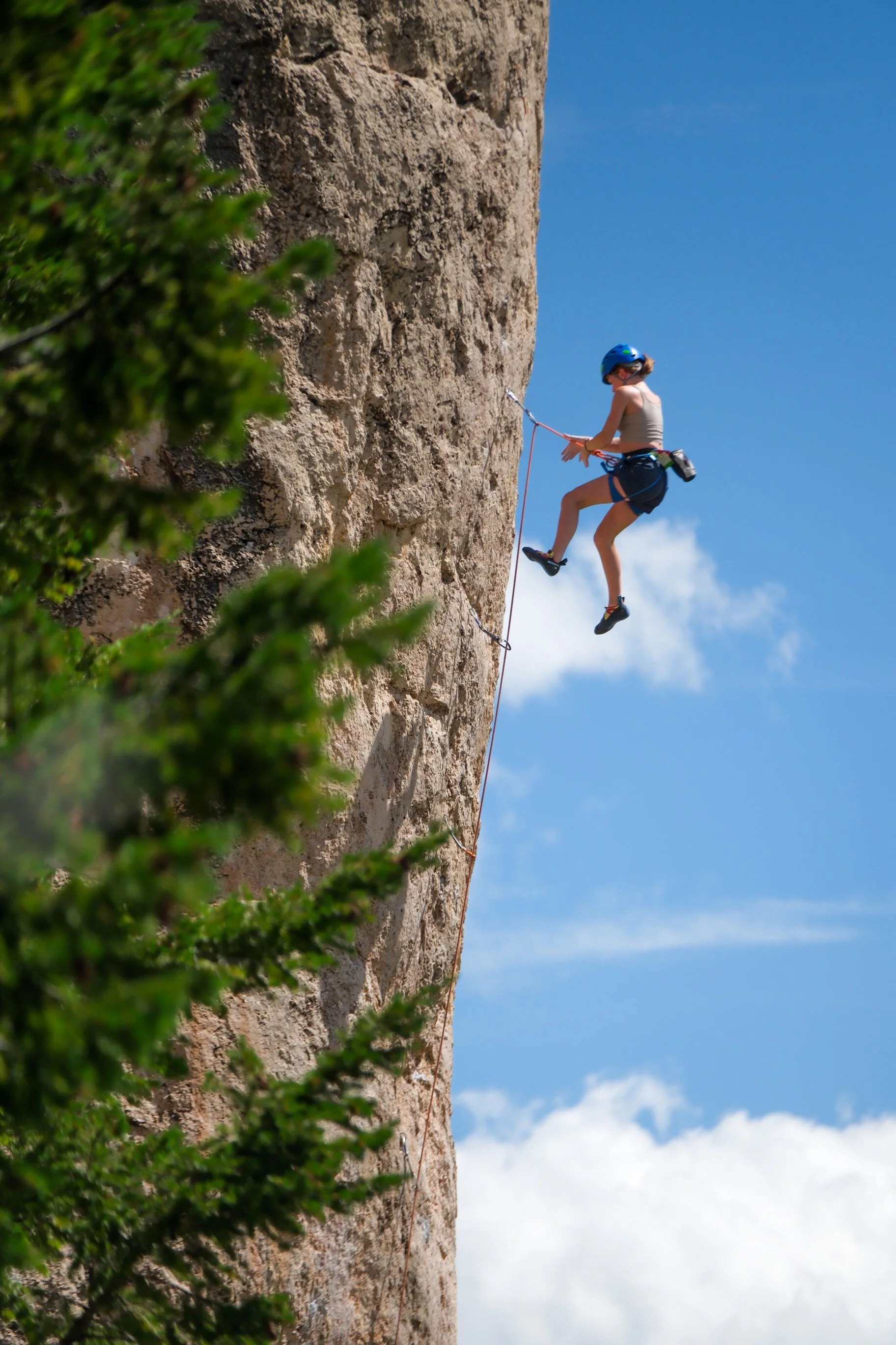 alphaclimbing_bighorns.JPG