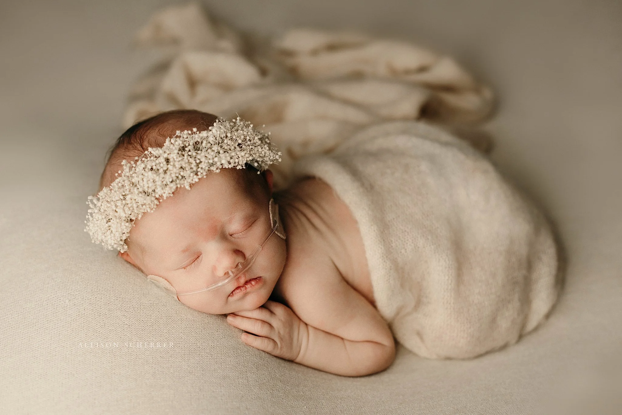 Colorado newborn photographer capturing baby on ivory backdrop