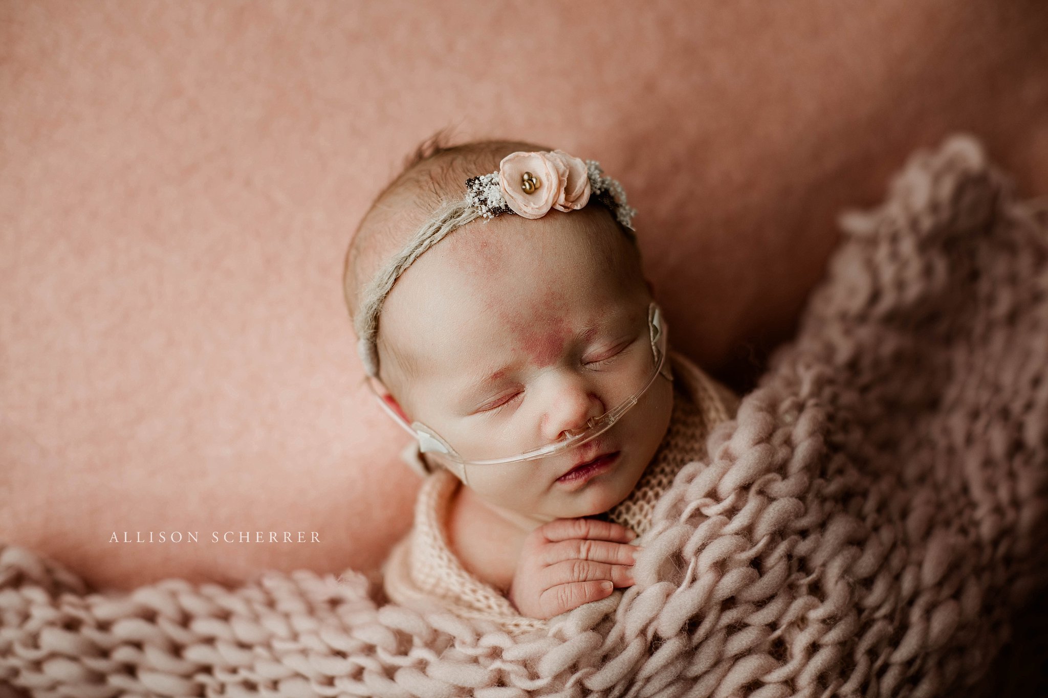 Newborn portraits on soft pink and ivory setup in Limon CO
